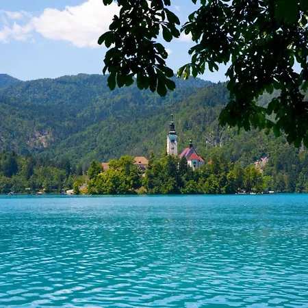 Beautiful In W/ Wifi And 2 Bedrooms *